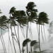 USDA Food Safety Tips For Areas Affected By Tropical Storms/Hurricanes