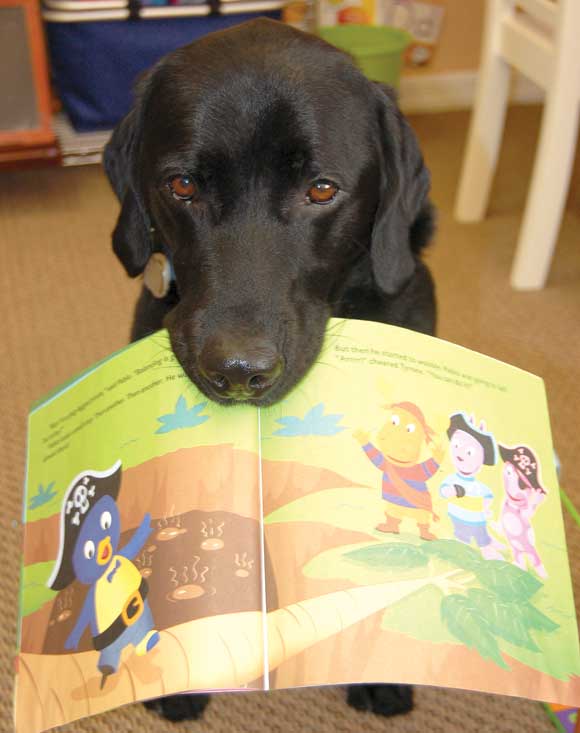 TINDER the Labrador is the gentle mentor of children with disabilities such as cerebral palsy and autism. (Image for SpaceCoastDaily.com)