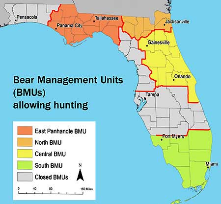 The 2015 bear hunt is officially over in all four of the state’s of Florida's areas that offered bear hunting. (FWC image)