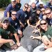 VIDEO: Florida Fish and Wildlife Commission Releases Rehabbed Manatee Back Into the Wild