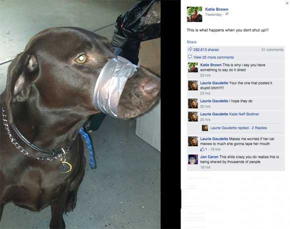 Concerned animal lovers inundated Volusia County law enforcement Friday night and early Saturday morning with calls and online messages after images of a dog with its mouth duct-taped shut appeared on Facebook. (Facebook image)