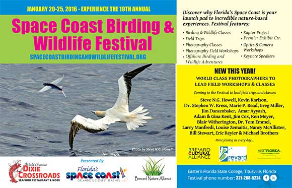 SPACE-COAST-BIRDING-FESTIVAL-580-1