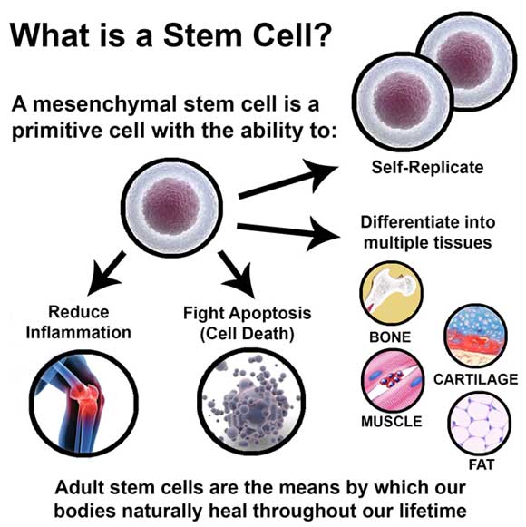 BIO-CELLULAR-580-9