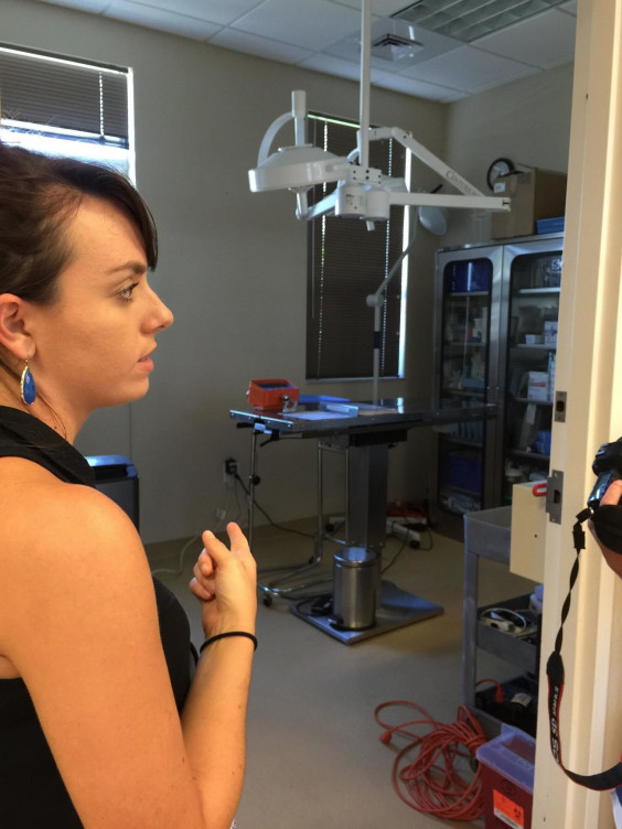 Kat Rumbley, Communications Marketing Coordinator, shows the sea turtle operating room. (MyFWC image)