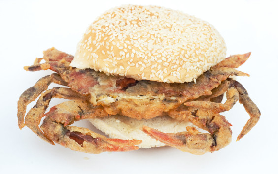 The Laughing Crab will also offer it's delicious Soft Shell Crab Sandwich.