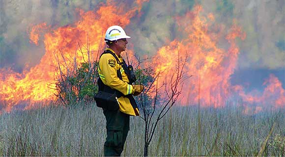 Florida Commissioner of Agriculture Adam H. Putnam announced that the Florida Forest Service has received the Wildfire Mitigation Fire Service Leadership award for its record-breaking prescribed fire program.­­ (Florida Forest Service image)