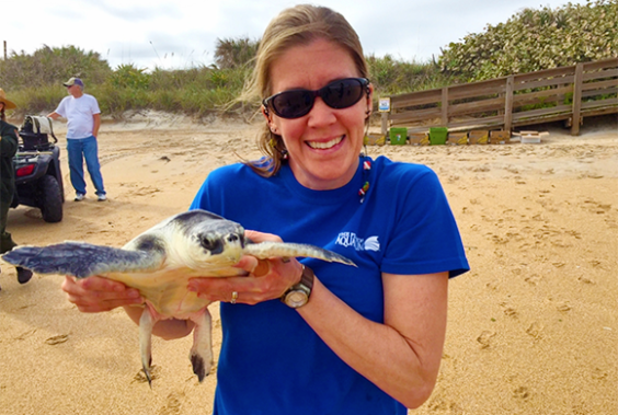 The Florida Aquarium and their Center for Conservation Team released 14 rescued sea turtles at Canaveral National Seashore on the East Coast of Florida. (Image for Space Coast Daily)