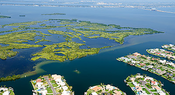 BREVARD COUNTY COMMISSIONER CURT SMITH: The creation and continued support of the Indian River Lagoon Council will be crucial to the success of restoring the health of our estuary. 