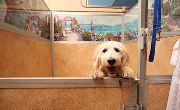 PET-SPA-BREVARD-580-7