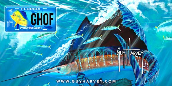 guy-harvey-580-1