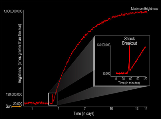 The diagram illustrates the brightness of a supernova event relative to the sun as it unfolds. For the first time, a supernova shockwave has been observed in the optical wavelength or visible light as it reaches the surface of the star. (NASA.gov image)