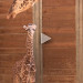 WFTV VIDEO: Record-Breaking Giraffe Born At Brevard Zoo This Week