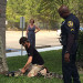 Florida Fish and Wildlife, Cocoa Police Wrestle Down An 8-Foot Gator