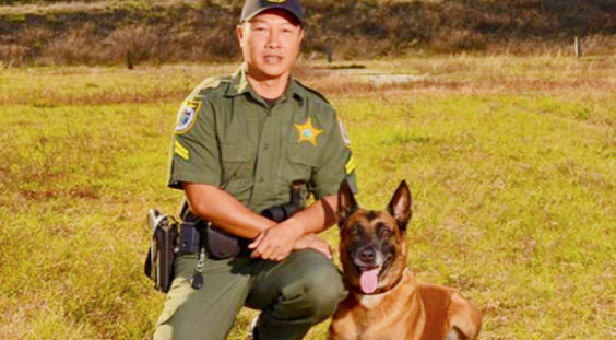 Corporal Sang Hill, above, has worked for the Brevard County Sheriff’s Office since 1988. Sang was assigned to the K-9 Unit in 1997 and his partner is Rocco, a 7 ½ year old Belgian Malinois. Sang and Rocco have been partners for the past 6 years and are certified in Narcotics Detection and Patrol. In addition, Sang is an FDLE State Certified Trainer and Evaluator. (BCSO image)