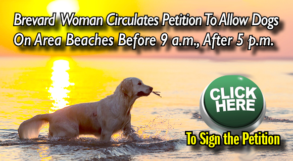 Renee Hurley of Brevard County has started an effort to petition the Brevard County Board of Commissioners to allow dogs on Space Coast area beaches before 9 a.m. and after 5 p.m.