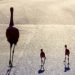 PHOTO OF THE DAY: Judith Vaughn of Melbourne Captures Family of Florida Sandhill Cranes