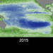 VIDEO: NASA Studying El Niño’s Impact on Ocean’s Food Source