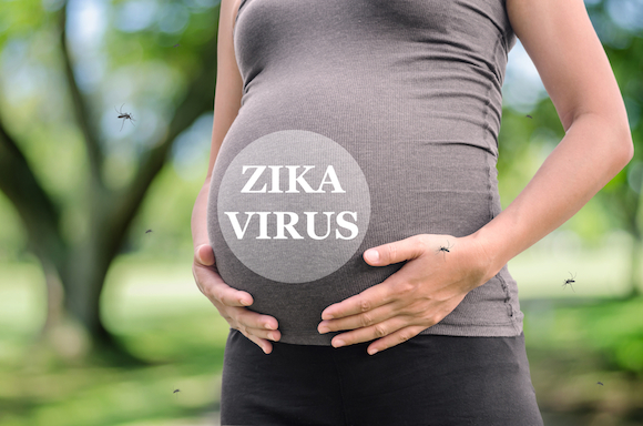 zika and pregnancy