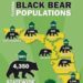 Florida Black Bear Is Conservation Success Story, Adult Bear Population Now 4,350