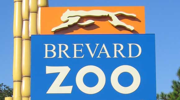 In recognition of Father’s Day on Sunday, June 19, Brevard Zoo is offering big discounts to dads visiting with their families.