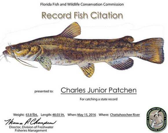 Charles Patchen will receive a state-record certificate and online recognition on the FWC website, along with qualifying his first Big Catch towards becoming a catfish specialist or master angler. (FWC image)