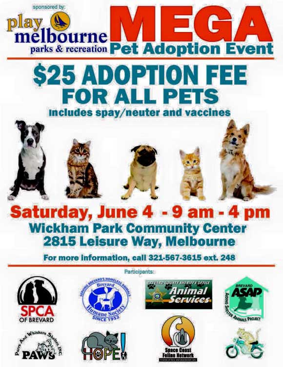 PET-ADOPTION-580-1