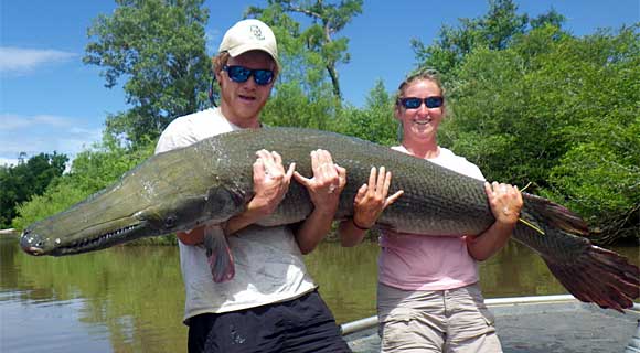 alligator-gar-580-3