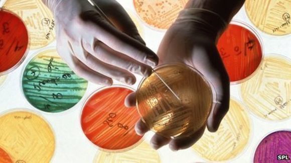 Research and development of new antibiotics to increase the number of effective antimicrobial drugs to defeat infections that have become resistant to existing medicines is an important element of the action plan.