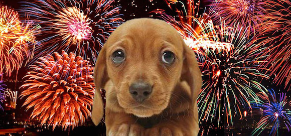 1349440791Fireworks-And-Dogs