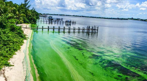 Sen Rubio spoke with a homeowner that lives along an area like this and said the air smelled like "An open sewage pit" 