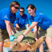 VIDEO: SeaWorld Orlando Returns Three Rescued Loggerhead Sea Turtles At Melbourne Beach