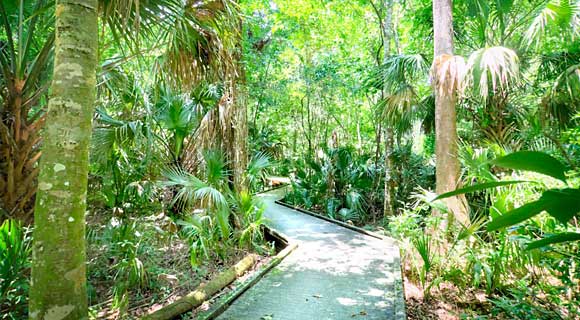 Come learn about the Enchanted Forest Sanctuary volunteer opportunities during their Volunteer Open House from 2 to 4 p.m. Saturday, Aug. 27. 