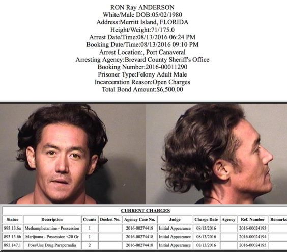 Ron-Anderson-BCSO-Mugshot-8-14-2016