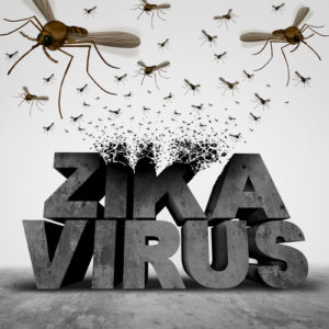 zika mosquitoes