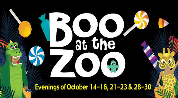 boo-zoo-580