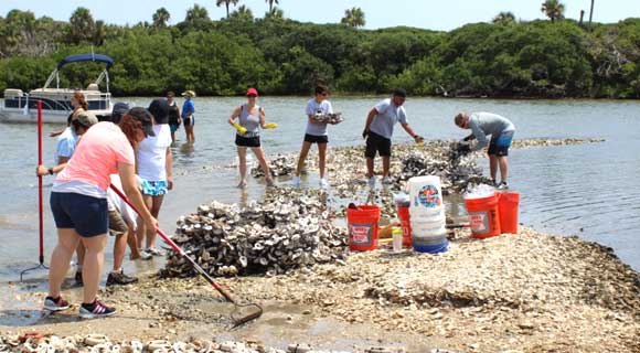 After 10 years, 77 reefs, 45,000 oyster mats and help from more than 48,000 volunteers, the University of Central Florida and Brevard Zoo have realized their goal of restoring oyster reefs in Canaveral National Seashore, located in the Mosquito Lagoon, the northernmost region of the Indian River Lagoon.