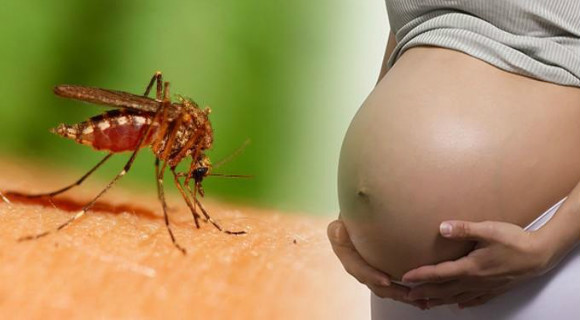 zika-pregnancy-580