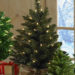 VIDEO: Advice On How To Make The Most Of Christmas Tree Shopping VIDEO: Advice On How To Make The Most Of Christmas Tree Shopping