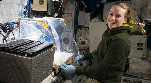 Measuring Gene Expression of Biological Specimens in Space. (NASA image)