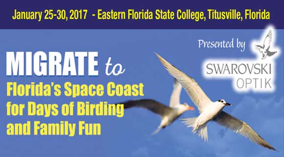 Chosen by the Southeastern Tourism Society as one of their Top 20 Events, the Space Coast Birding and Wildlife Festival, set for January 25-30, 2017, is regarded as one of the top birding events in the nation.