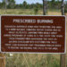 Prescribed Fire Awareness Week In Florida, What You Should Know About Controlled Burns Prescribed Fire Awareness Week In Florida, What You Should Know About Controlled Burns