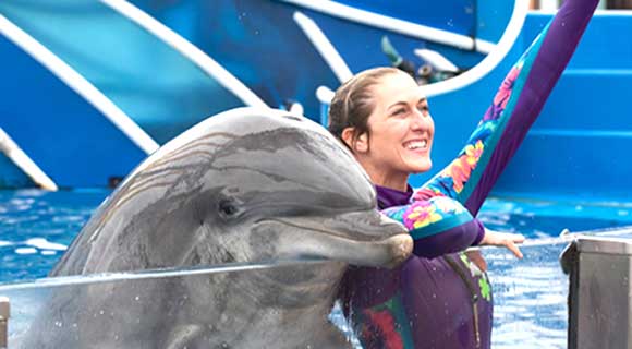 Dolphin Nursery at SeaWorld Orlando: Young Dolphins in Action