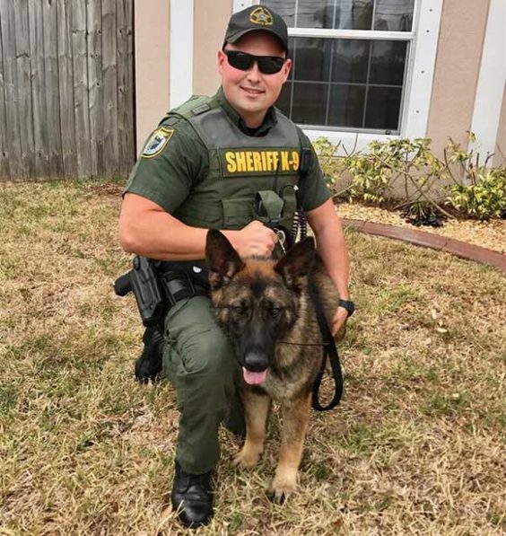 Brevard County Sheriff's Office Welcomes 'Behr' To The K-9 Patrol Team ...