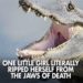 FWC: 10-Year Old Girl Pries Open Alligator’s Jaws To Free Herself at Orlando-Area Park