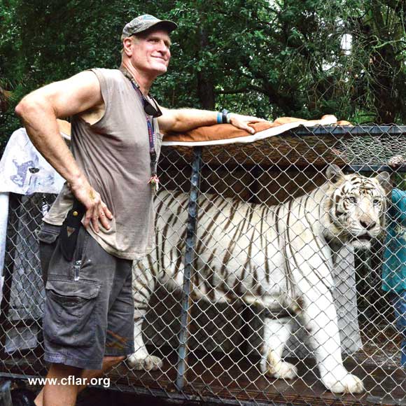 HEAR ME ROAR! Central Florida Animal Reserve Relocates Big Cats From ...