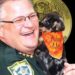 VIDEO: Brevard County Sheriff’s Office Animal Services Surpasses Live Release Rate Goal