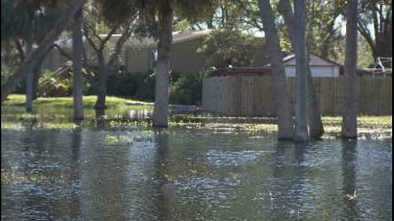 Three Months After Hurricane Irma, Some Brevard County Parks Still ...