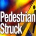 Man Struck By Vehicle On I-95 While Trying To Retrieve Ladder On Interstate In Cocoa Man Struck By Vehicle On I-95 While Trying To Retrieve Ladder On Interstate In Cocoa