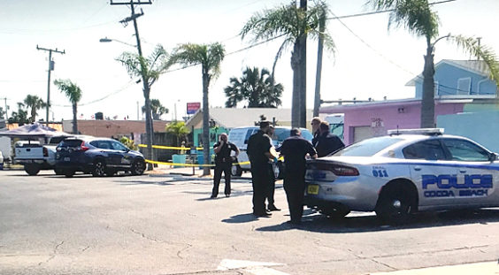 Cocoa bean visual data 8