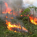 U.S. Forest Service Conducting Controlled Burns Sunday at Merritt Island National Wildlife Refuge